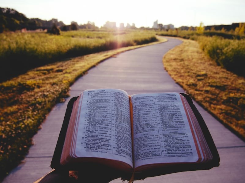 FAITH'S PROCLAMATION FOR TODAY (21ST JULY, 2026)
